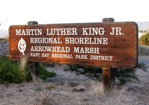 Arrest made in MLK Jr. Regional Shoreline killing